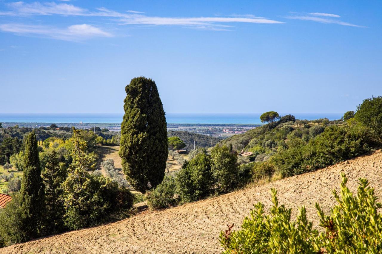 Villa Cesarina Amazing Villa With Private Pool In The Tuscan Hills 카살레 마리티모 외부 사진